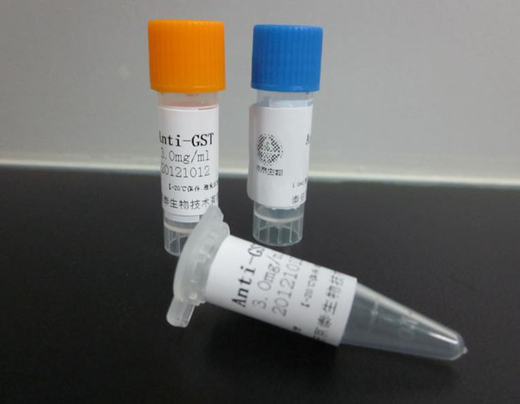 冷链保存国际快递